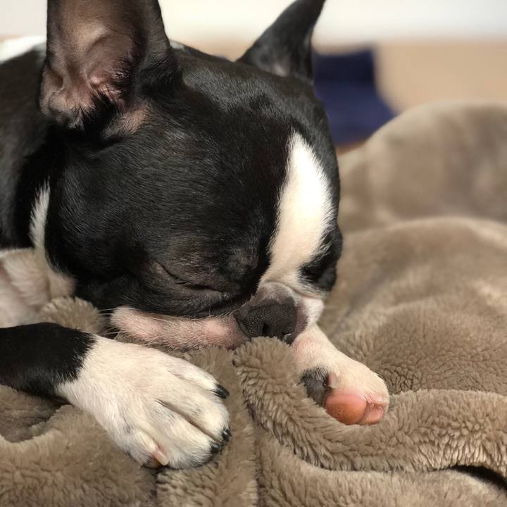 3f865735 bd05 42d0 9100 4e7e9a9859ae 1512180995212