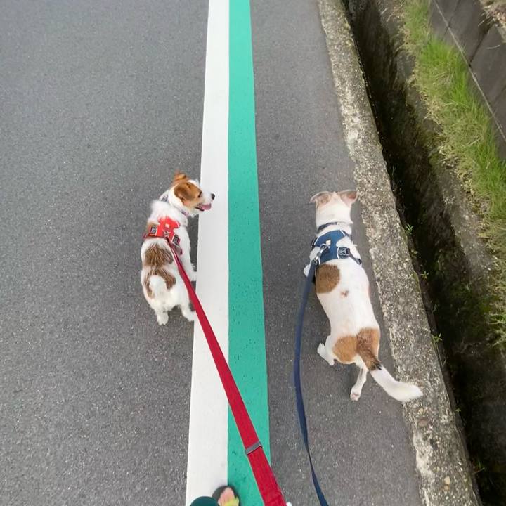 3f866059 2b33 4dac 8682 18b9ab55bb59 1662765531944