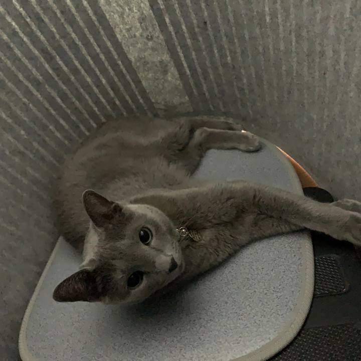 3f866773 afec 4c32 8924 a71f57b50aef 1671005160405