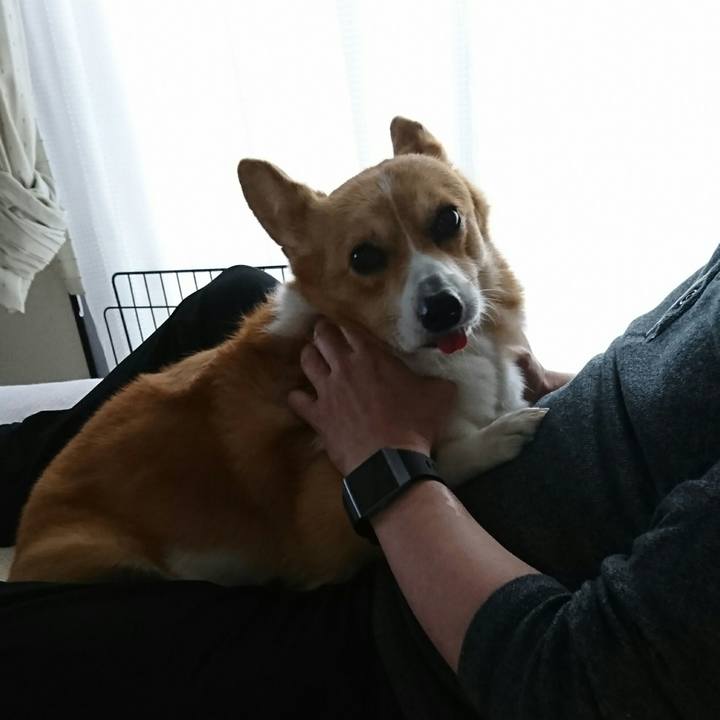 3f8669d0 4ce7 42b3 91ae de9a278ed2df 1541290460970