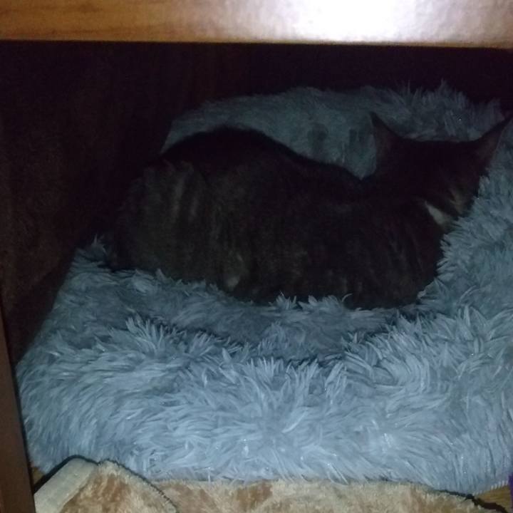 3f8685a8 b291 4480 998b 718e14e3e2b9 1612763175985