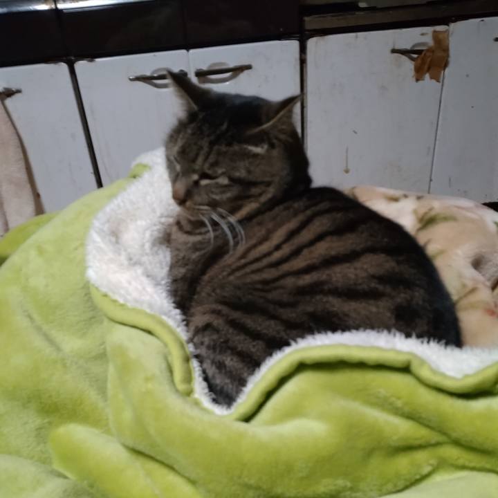 3f868b62 eab4 4cf2 b866 19e198162e92 1674770520501