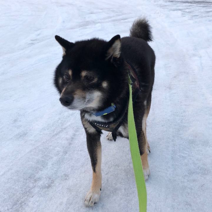 3f8693c7 962d 4dfa bfe6 2e040d016044 1520725713613