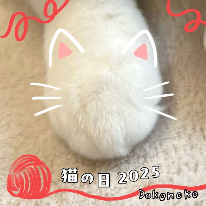 3f86aa61 4d23 4398 b5cf baabe24579c3 1740161140102