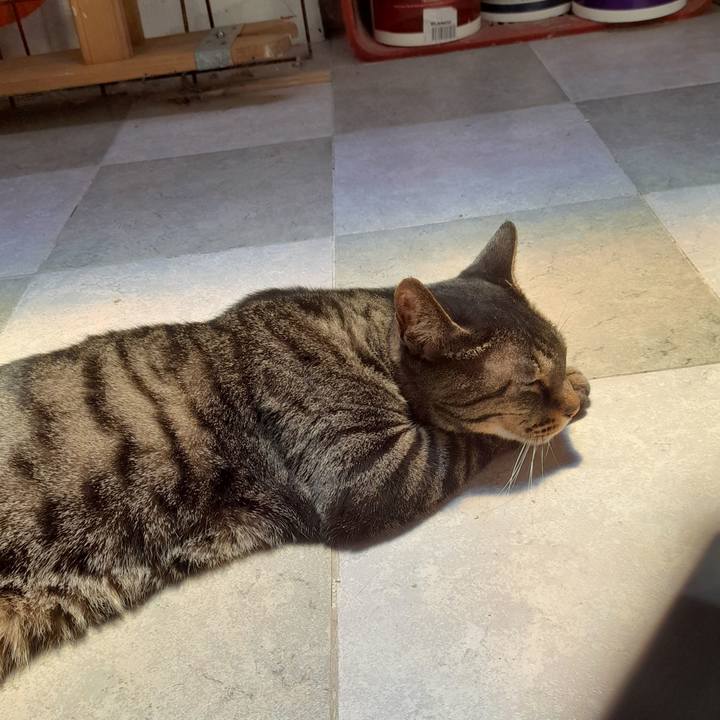 3f86c3df 8910 4a52 be5b 5ebd9d67f30c 1763603183820