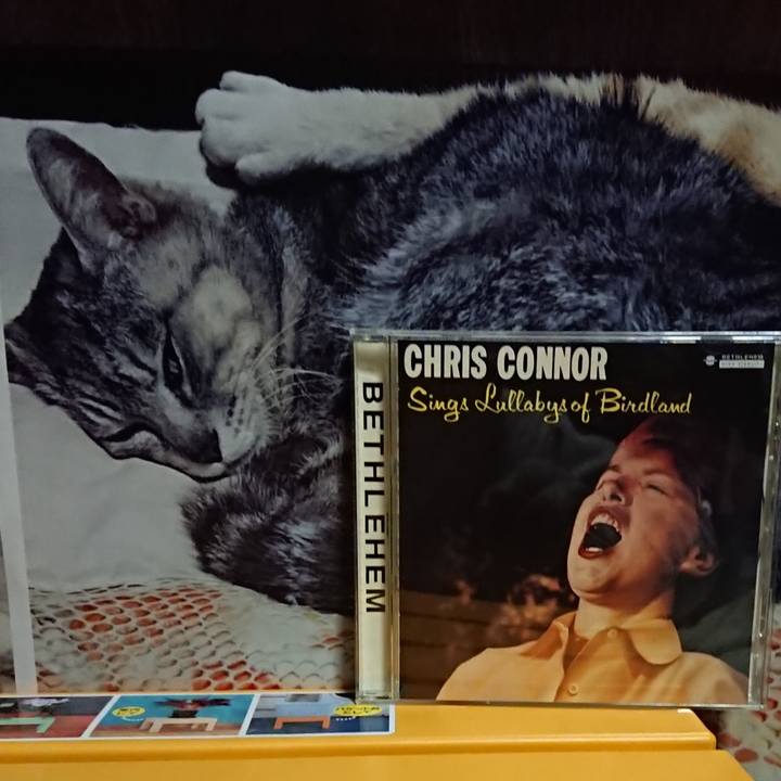 3f86c9d6 1a8f 4966 ae91 f73bac381199 1614599298565