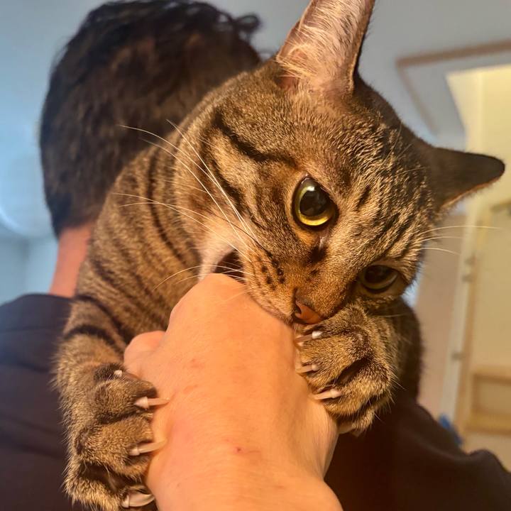 3f8738b7 489e 48c5 a6f8 5f2203f5d5c2 1761437442389