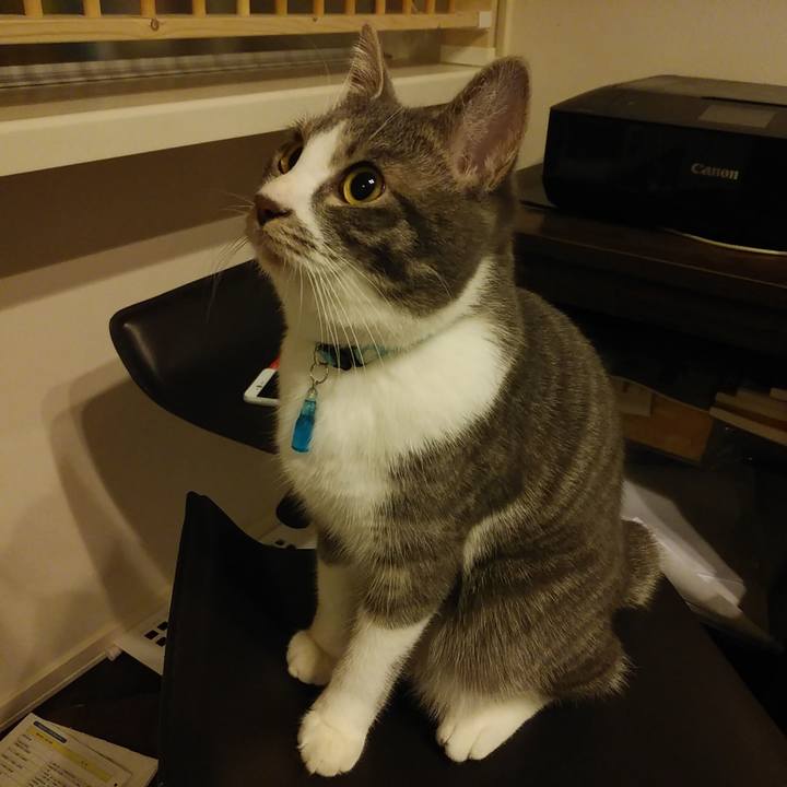 3f8740d6 5e42 484f 9184 ce4ee4b753a6 1577983110821