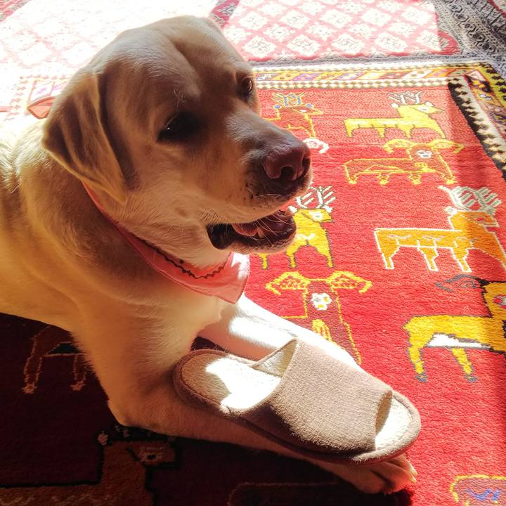 3f877714 2e15 4251 98ec 3464be017843 1581388252508