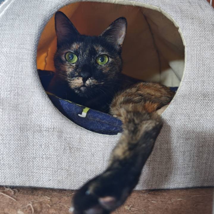 3f877dd2 5884 4bef 9c9f ef6bbacc7960 1771464612874