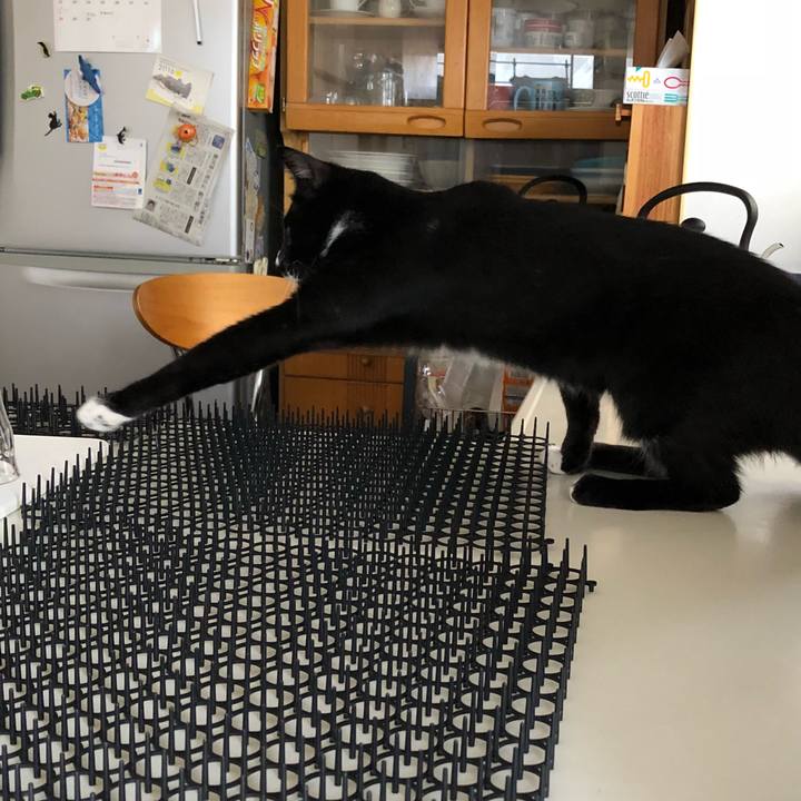 3f87832c 8b0b 4b05 bb91 726903f43fd9 1533268080693