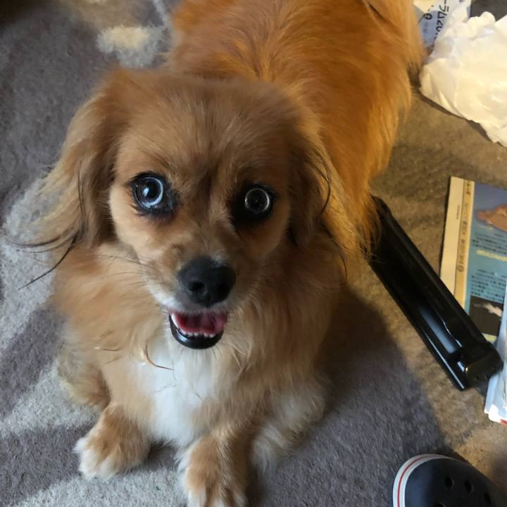 3f8787fe a8e5 4da5 bfbc 71b3aea8838a 1564346768206