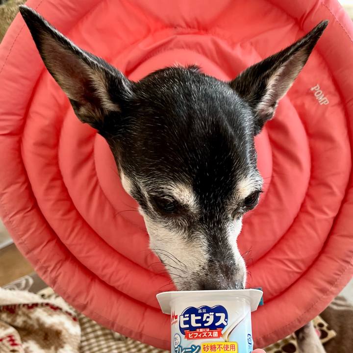 3f87911d 4171 460b 9db4 98b28651fa74 1641777984114