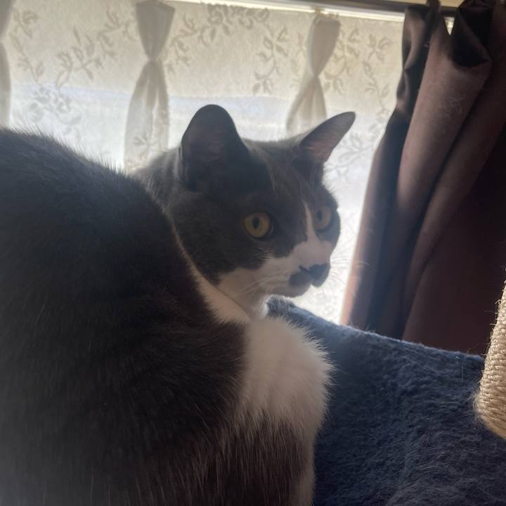 3f87c98d 75e8 4fb2 8cc3 61176419de10 1666998454217