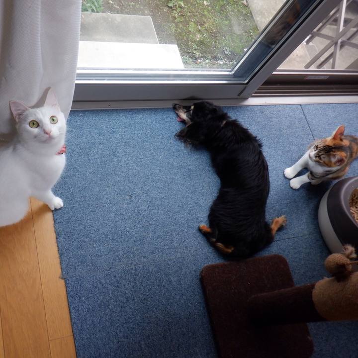 3f88051e 2544 4e03 be6b fcfe1ee29df6 1632796956976