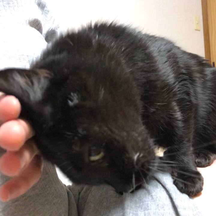 3f8818ea 8f3c 4958 a977 94d0a58ab041 1586785201933