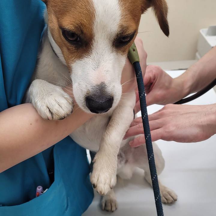 3f888c66 c611 429c 8c76 13775b081d81 1711953689266