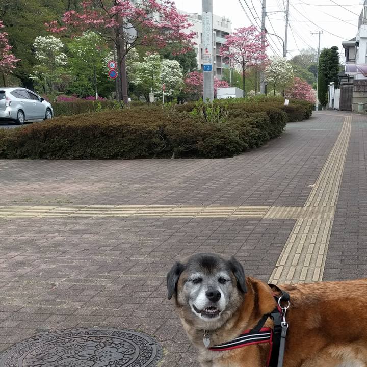 3f88a0b4 5759 465f bd94 1faa70e00fdc 1523407891791