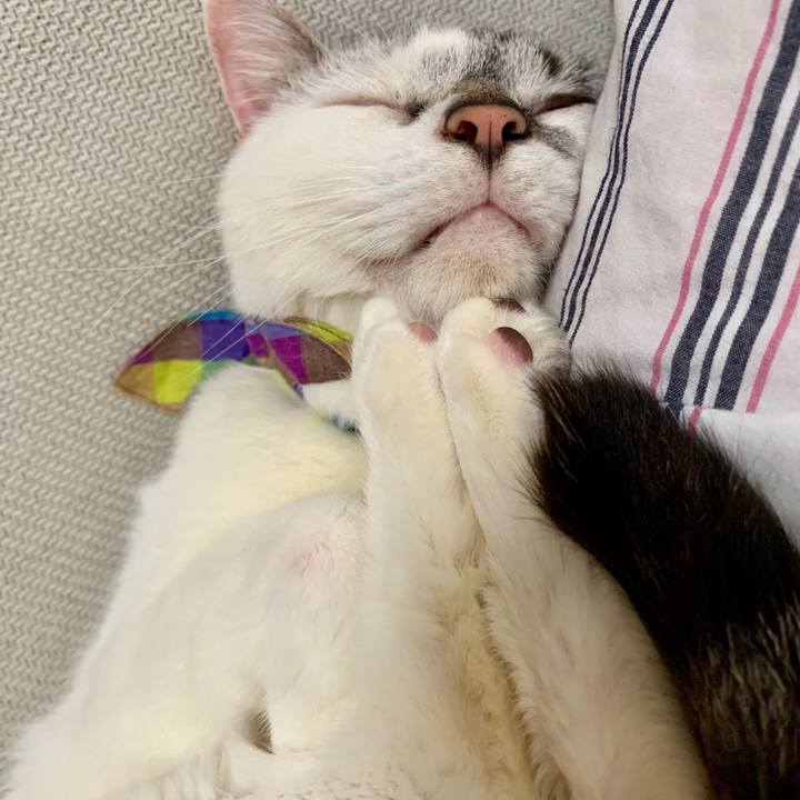 3f88afa6 6972 4f7e bef3 b89656c06e34 1566097196191