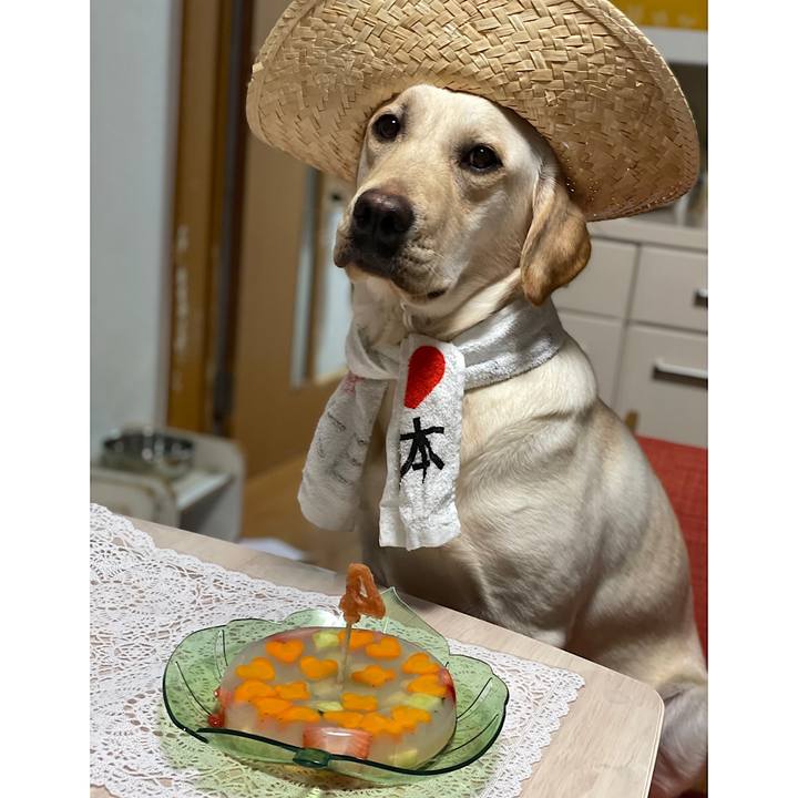 3f88b7a3 1480 4af0 a43a 6188ee0b9c14 1650885966629