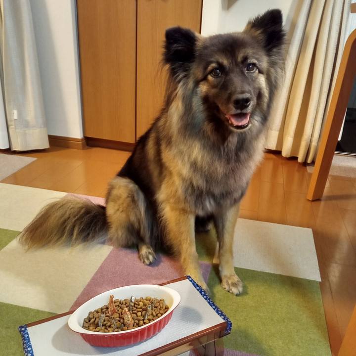 3f890f7a 1fb7 49ce 884e f0d33648acca 1761043435022