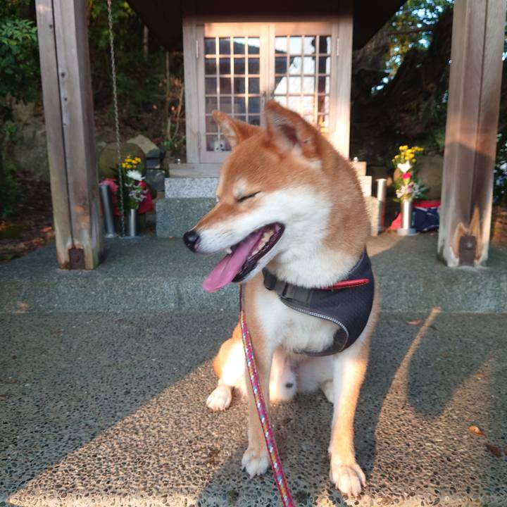 3f893624 d72c 4f2c 9ecb f5aa03a5e5b8 1756515228693