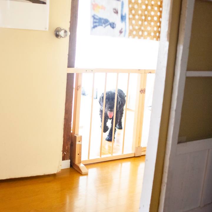 3f895c1e 6a89 4d9b b0da 671868401163 1596337832671