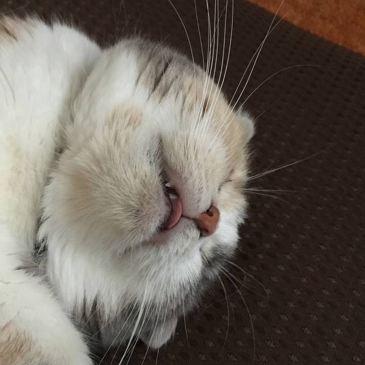 3f899f5d fc3f 4a82 8420 490c206aa4a8 1561365246902