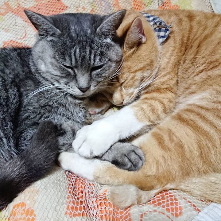 3f89a770 4d43 4eee a589 2df60f280956 1574599342803