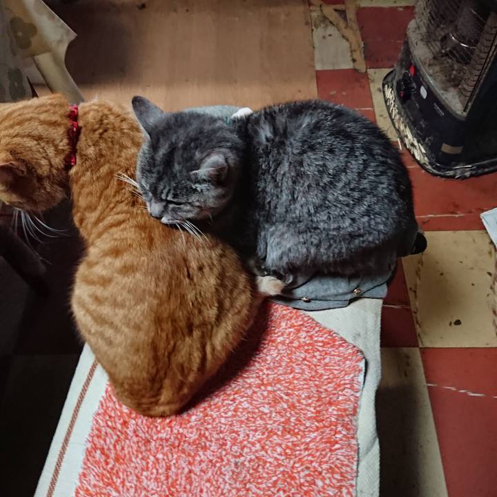 3f8a1aa8 686a 4895 83e1 8d993adde728 1577517683873