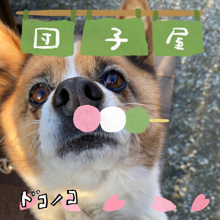 3f8a3f08 5a74 4504 9210 9485688f28ab 1712231706379