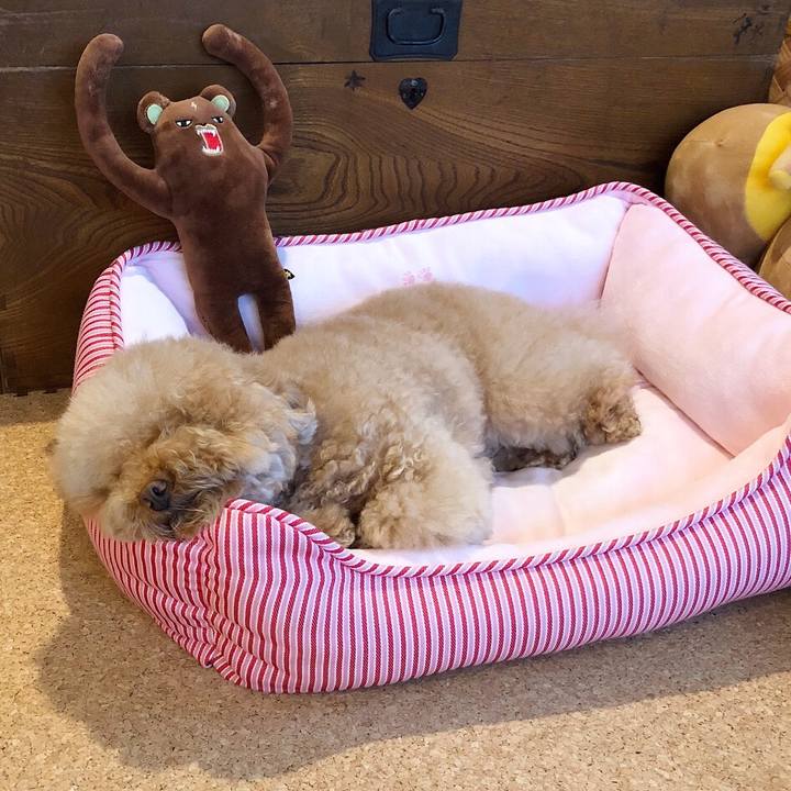 3f8a4588 b57e 4998 8e90 8ca79527bda5 1509528284458