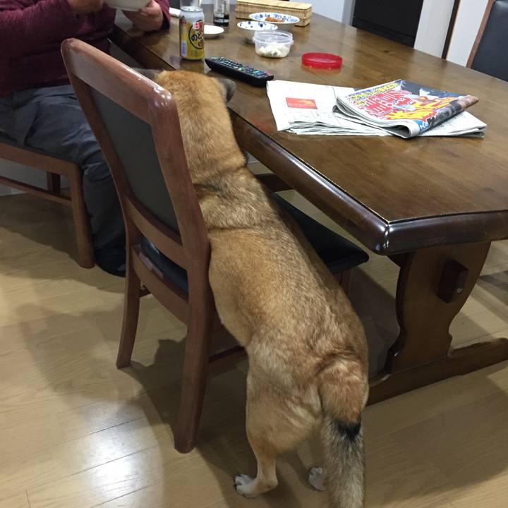 3f8a50f0 d7d7 4737 9c94 7db010c3ac05 1512384207958