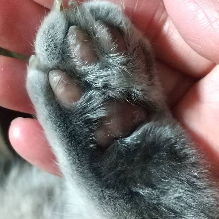 3f8a8362 0be1 46e4 969f 6daeb70292b3 1614343708141