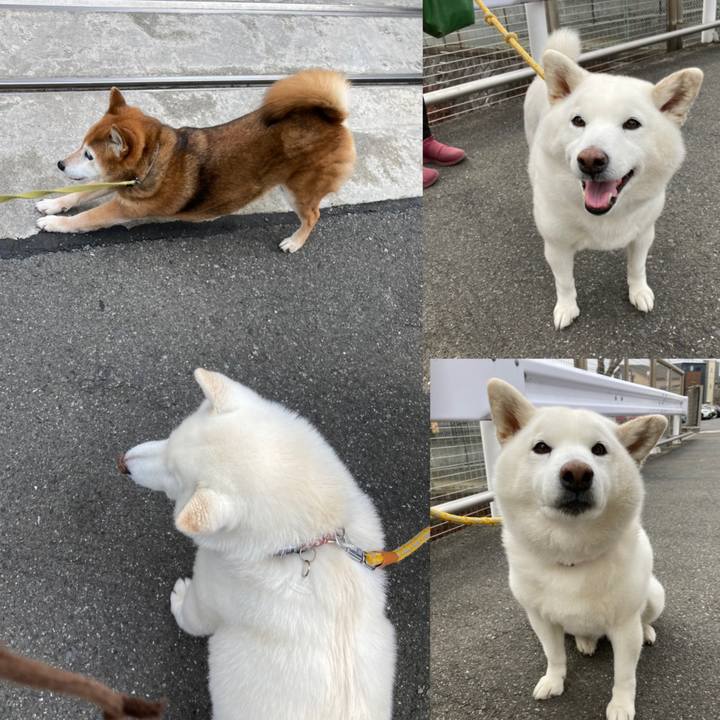 3f8ab664 ef0a 4885 8394 cb149e4ac44e 1709601907535