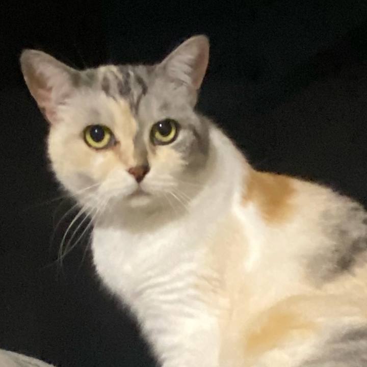 3f8ad420 63f1 4633 aaa1 05b5043fbda7 1659362471988