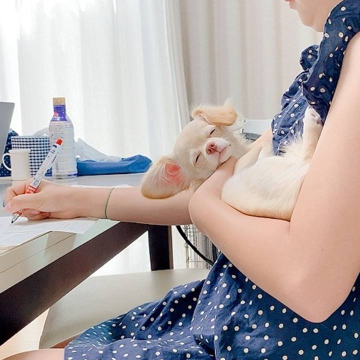 3f8ae6fb 7b21 4b3b 9ebb 5e2e46705142 1597370955491