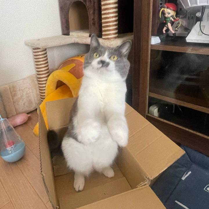 3f8b357c 1ee8 44a4 8bd8 22c6fdf99067 1698452192807