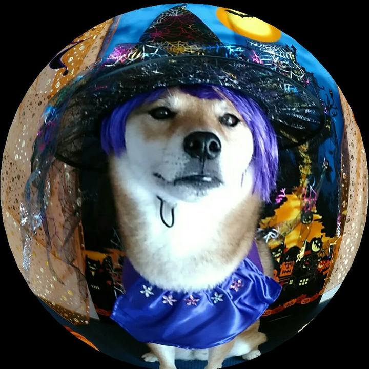 3f8b37b1 f8a3 488b 8c55 8a7dff1efd58 1540518512787