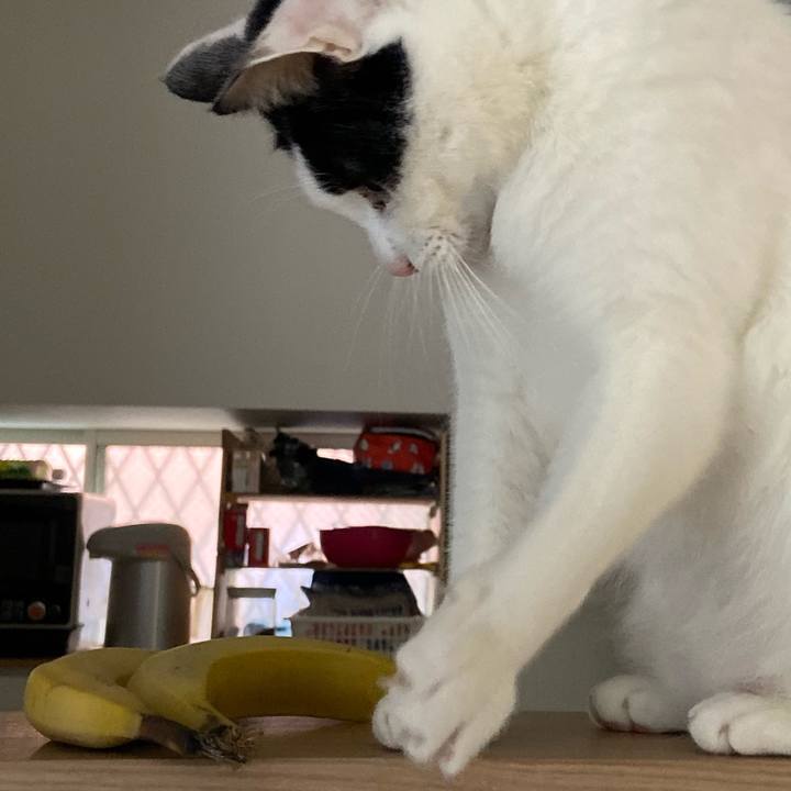 3f8b403c fbb1 477c 8ff3 a382df92373a 1576416451154