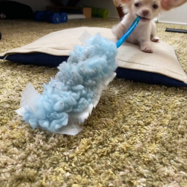 3f8b4045 b6f0 4104 b603 7e76f3612764 1591341893661