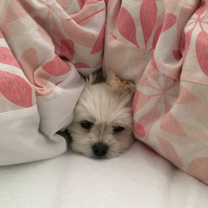 3f8b5077 be54 4023 a5c9 71568b3ff222 1540074824973