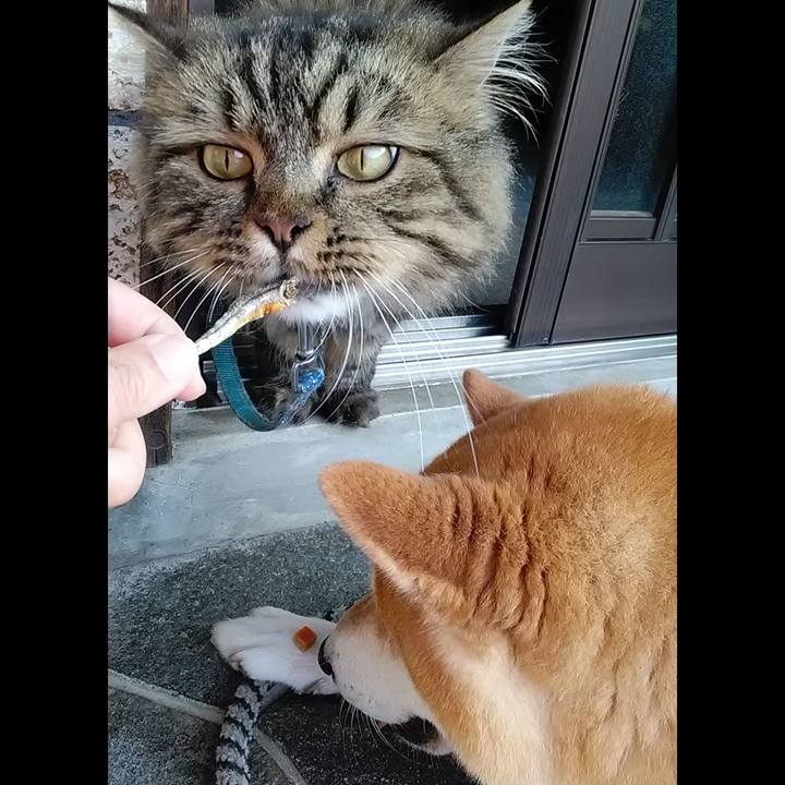 3f8b5606 397e 4221 a11b 439ff6357a46 1626045960851