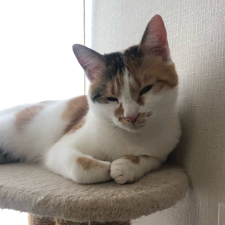 3f8b821e 0c0f 4502 aa85 b192e76feec1 1602027263908