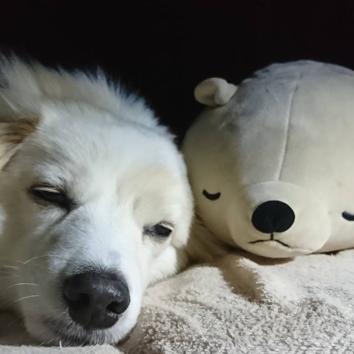 3f8b890b 35ec 4499 a900 e61f69489e83 1548453742641