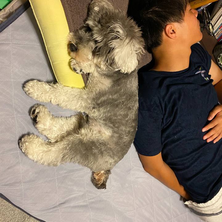 3f8b9235 4437 40a5 99e4 6aa35a7b369d 1598811537788