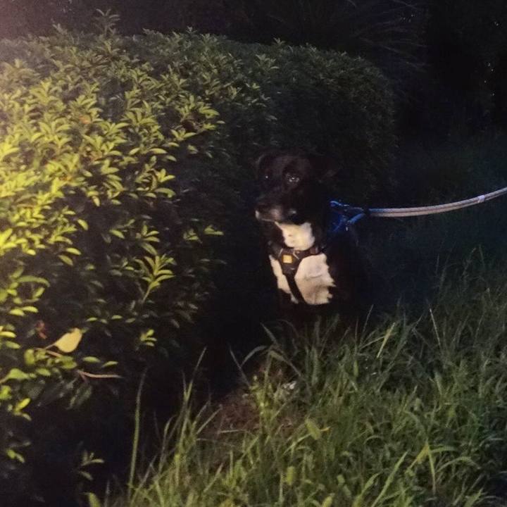 3f8ba7a4 bbad 47b5 8fad 0539076106b3 1660647088780