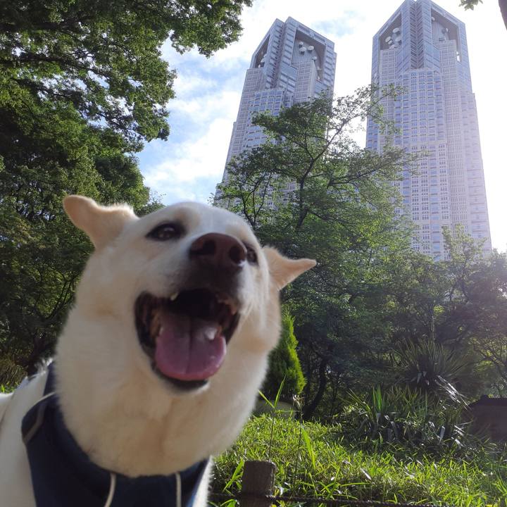 3f8bef35 5430 466e b3fb e76d531e7034 1683344974394