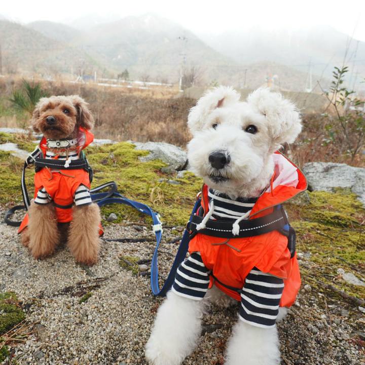 3f8c28fe 4dc8 4d8c ab17 cfb34d7b8d9d 1514900229932