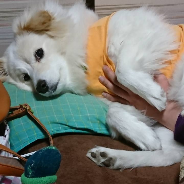 3f8c369d d2b5 4d2f 91cf fd2e74e7369c 1519731723935